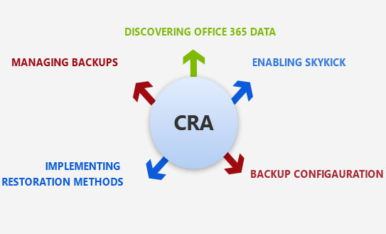 CSE tailoring SkyKick Backup for your Business