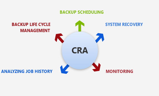 Veritas SaaS Backup Process