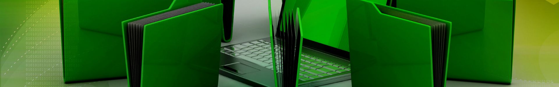 Data Maintenance Service